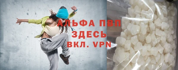 индика Аркадак