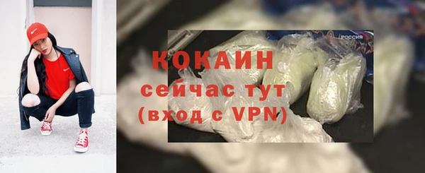индика Аркадак