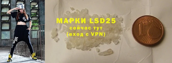 индика Аркадак