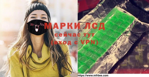 индика Аркадак