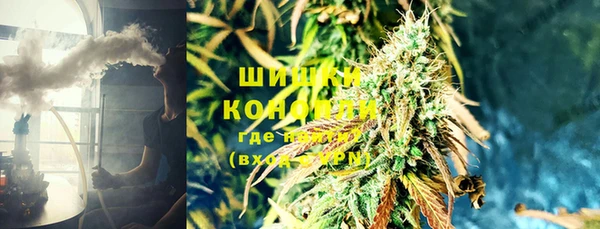 индика Аркадак