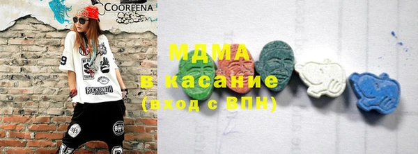 индика Аркадак