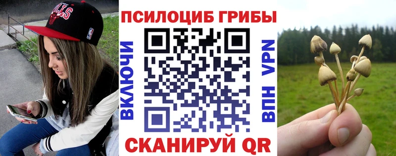 Галлюциногенные грибы Psilocybine cubensis  гидра маркетплейс  Воткинск  где можно купить  